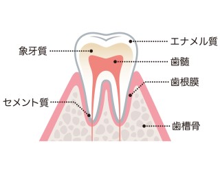 歯並び　どんどん悪くなる　気になる　改善　矯正　治療