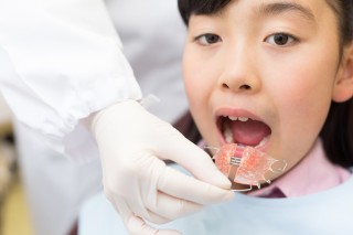 顎　小さい　歯並び　関係　現代人　矯正