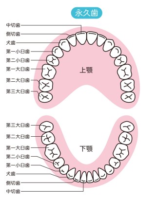 抜歯　食事　注意点