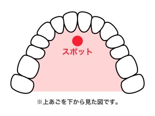 歯並びが気になり始めた方は、まずは横浜駅前歯科・矯正歯科へご相談ください。
≫無料矯正カウンセリングのご予約はこちら☆
矯正　リテーナー　保定装置　後戻り