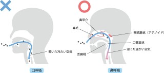 舌の正しいポジション　舌の正しい位置　横浜駅前歯科矯正歯科