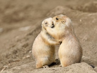 矯正中　キス　気を付けること　注意　工夫　歯列矯正