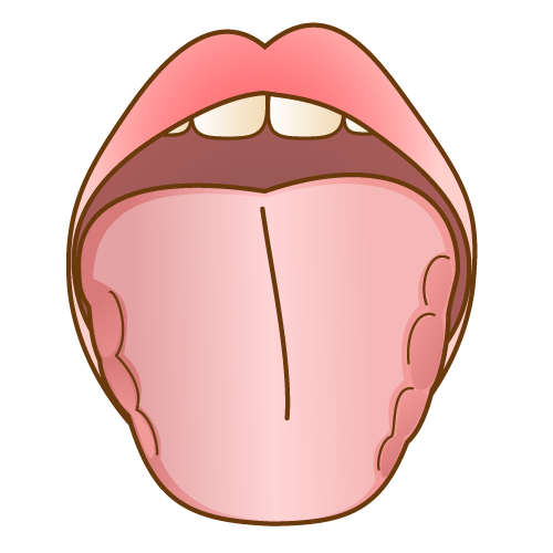 歯痕舌